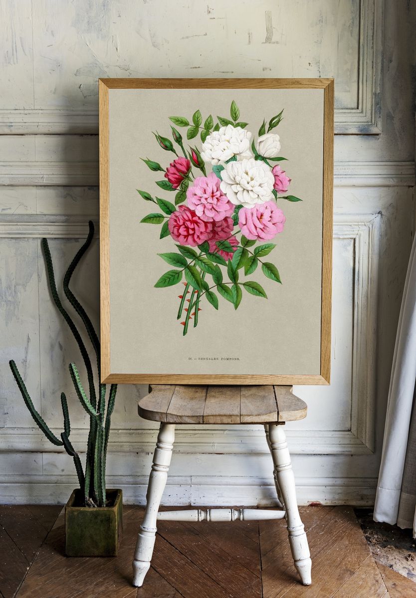 Bengale Pompons — Botanical Print. — room view 1