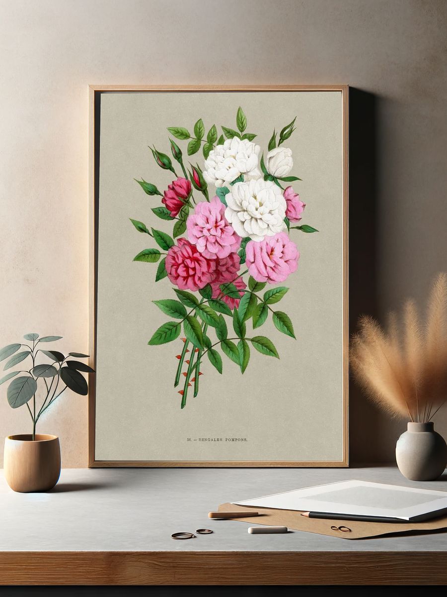 Bengale Pompons — Botanical Print. — room view 2