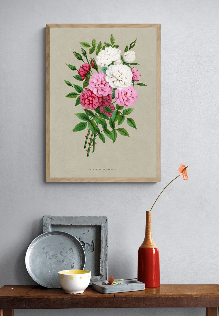 Bengale Pompons — Botanical Print. — room view 3