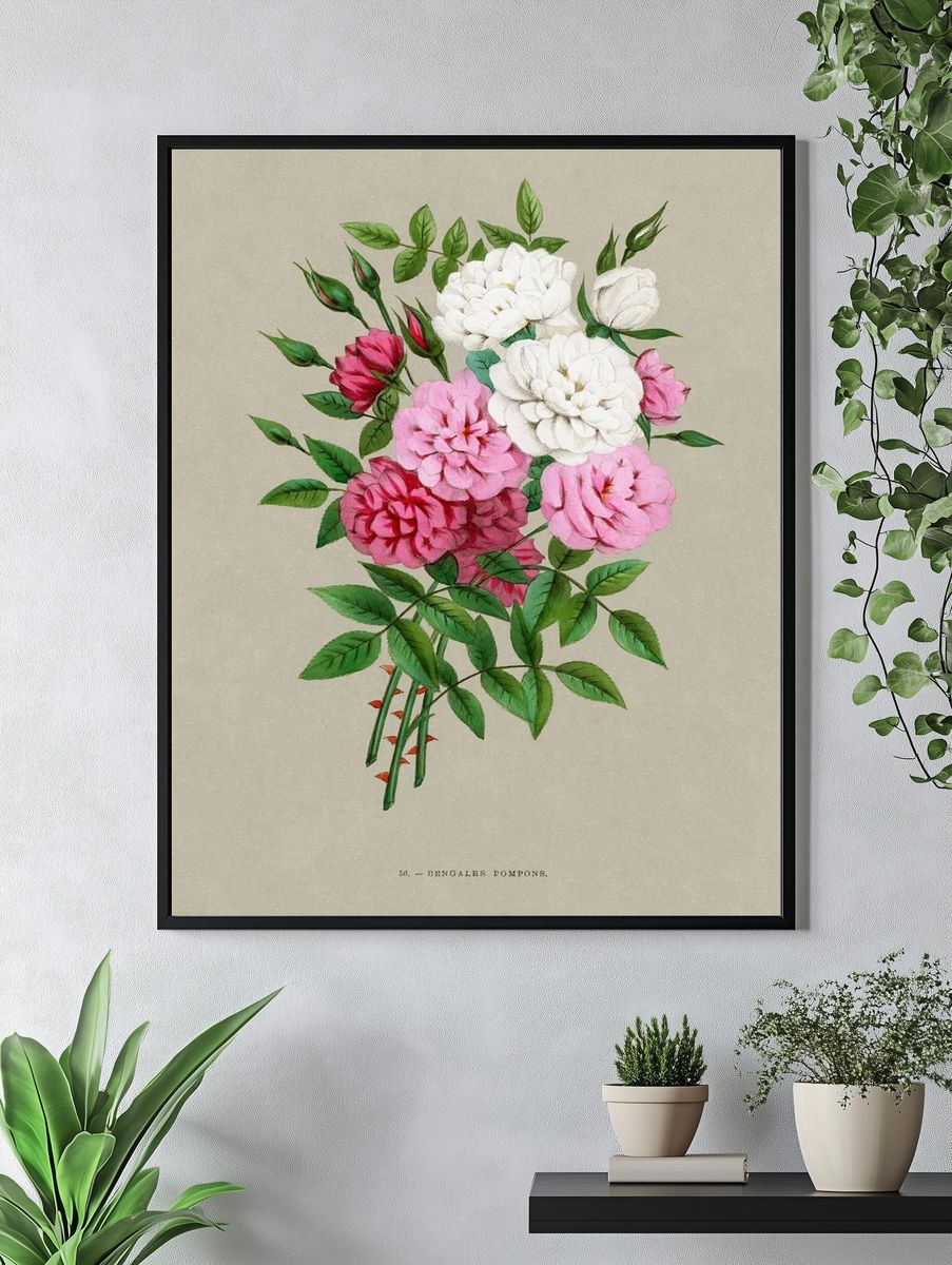 Bengale Pompons — Botanical Print. — room view 4
