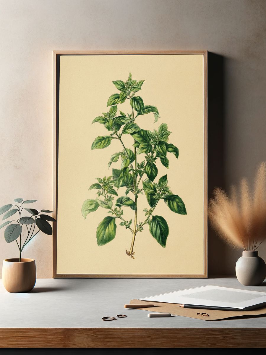 Basil Plant Botanical Print. — room view 2