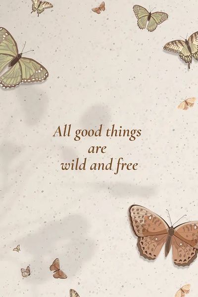 Butterflies and Quotes Poster. poster print
