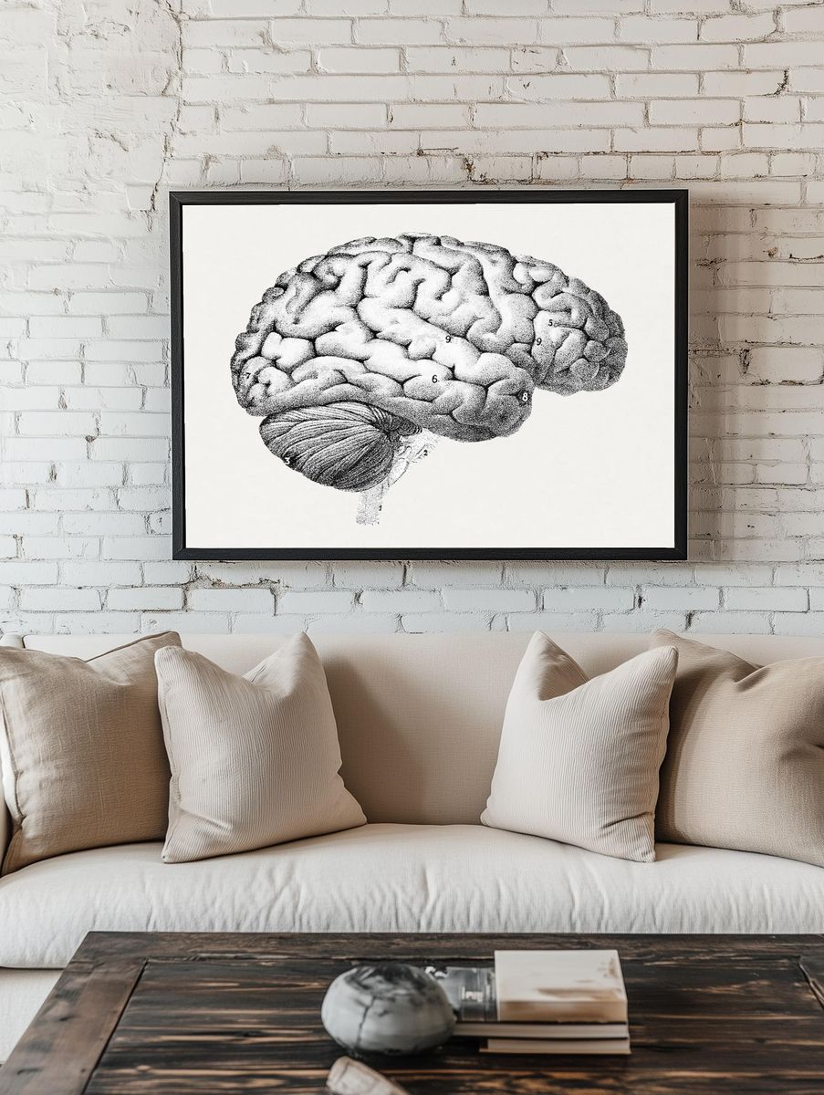 Anatomical Brain Illustration Poster. — room view 1