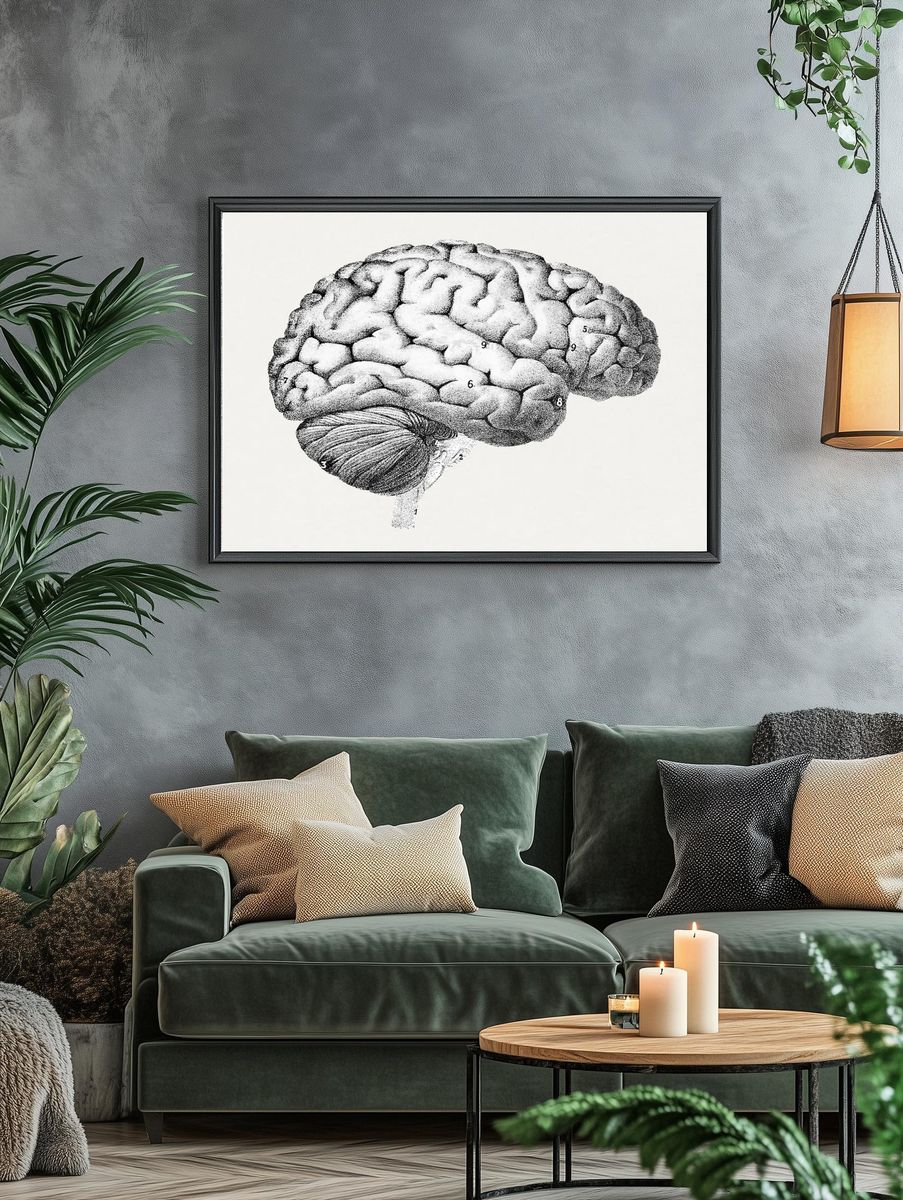 Anatomical Brain Illustration Poster. — room view 4