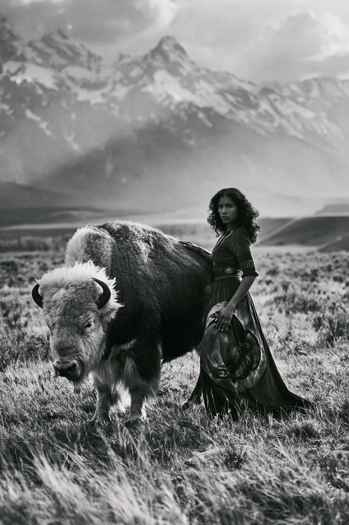 Bison Portrait Photography Poster. poster — photography art