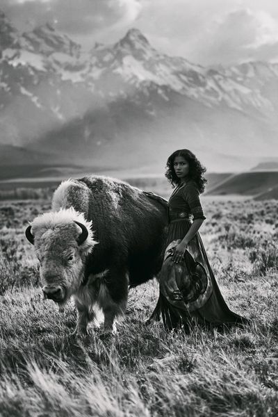 Bison Portrait Photography Poster. poster