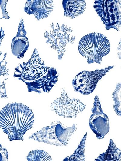 Blue Seashell Pattern Print.