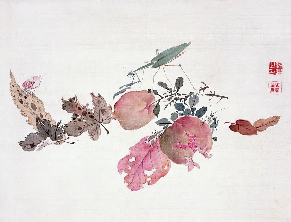 Botanical Still Life — Watercolor Print. poster detail