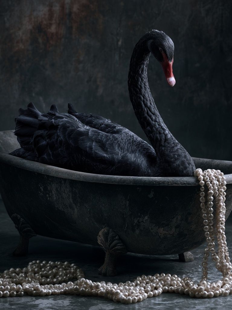 Black Swan Pearl Bath Poster. poster detail
