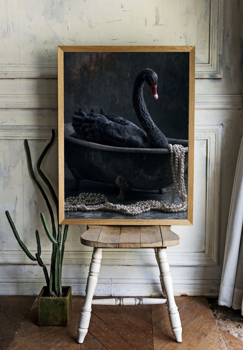 Black Swan Pearl Bath Poster. room preview