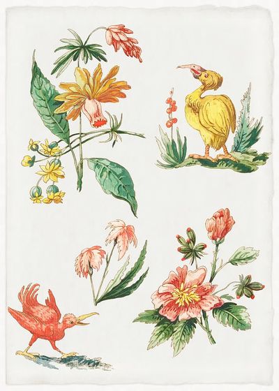 Vintage Botanical Illustration Poster. poster print