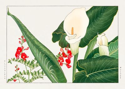 Tropical Botanical Illustration Poster. poster