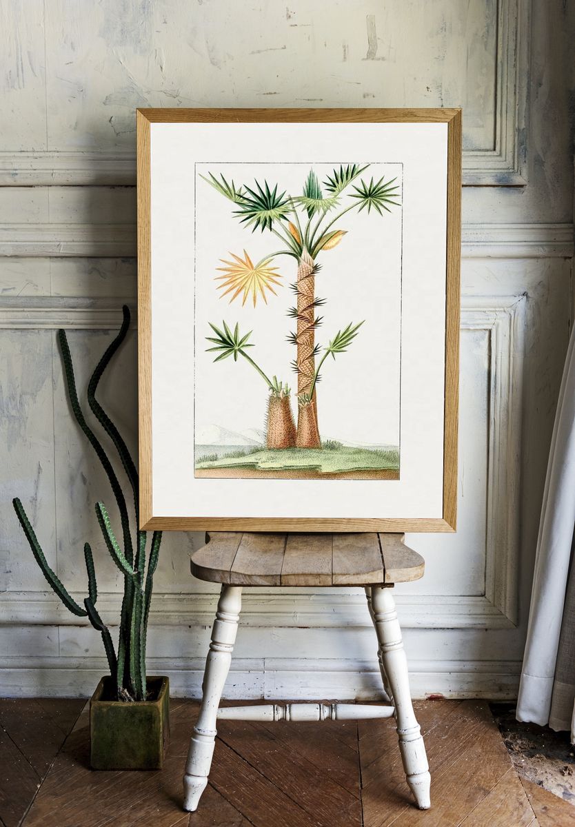 Tropical Palm Tree Botanical Print. — room view 1
