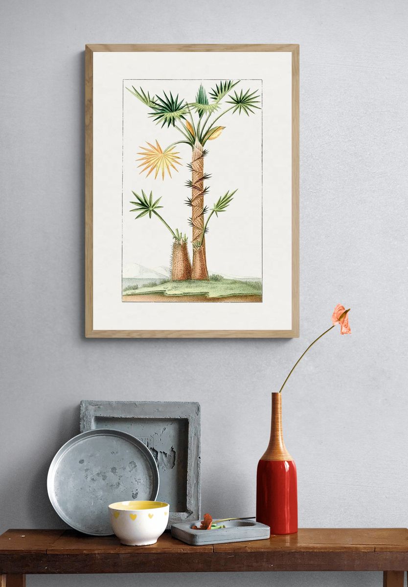 Tropical Palm Tree Botanical Print. — room view 3