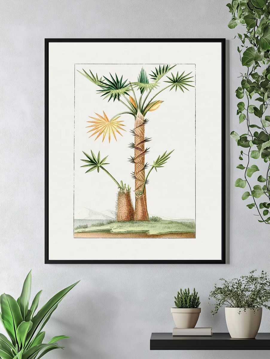 Tropical Palm Tree Botanical Print. — room view 4
