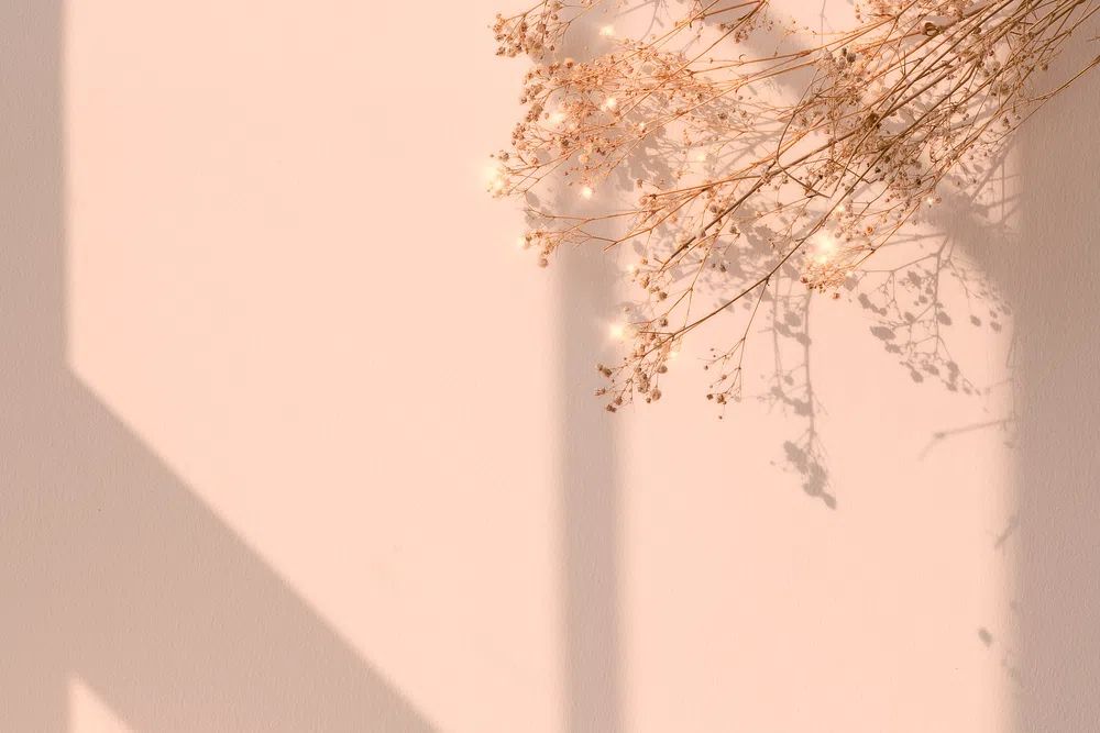 Delicate Dried Flowers — Minimalist Print. poster detail