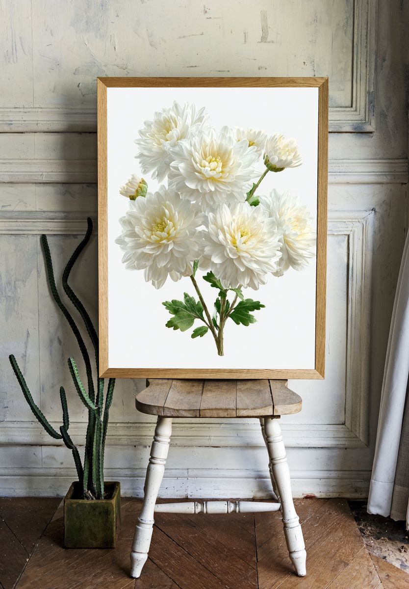 White Chrysanthemum Botanical Poster. — room view 1