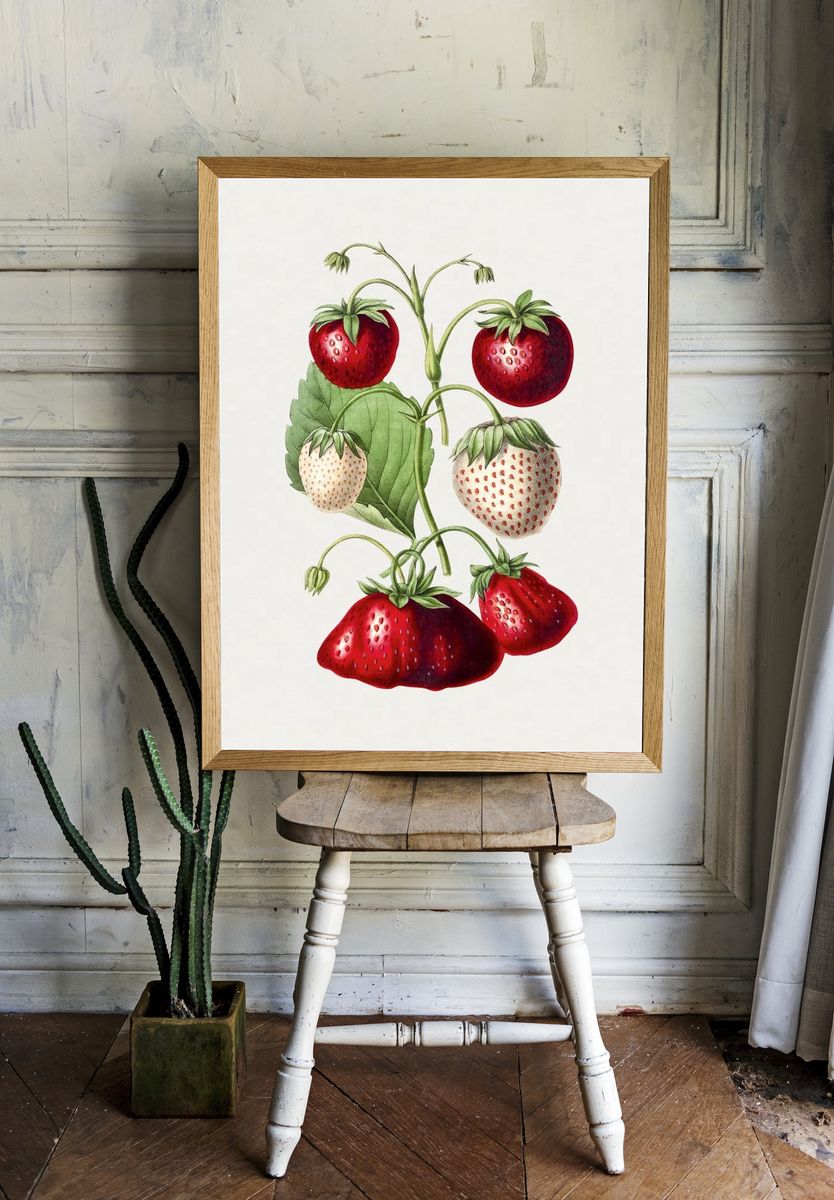 Strawberry Botanical Print. — room view 1