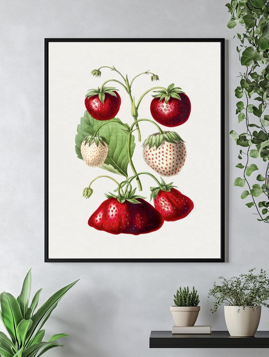 Strawberry Botanical Print. — room view 4