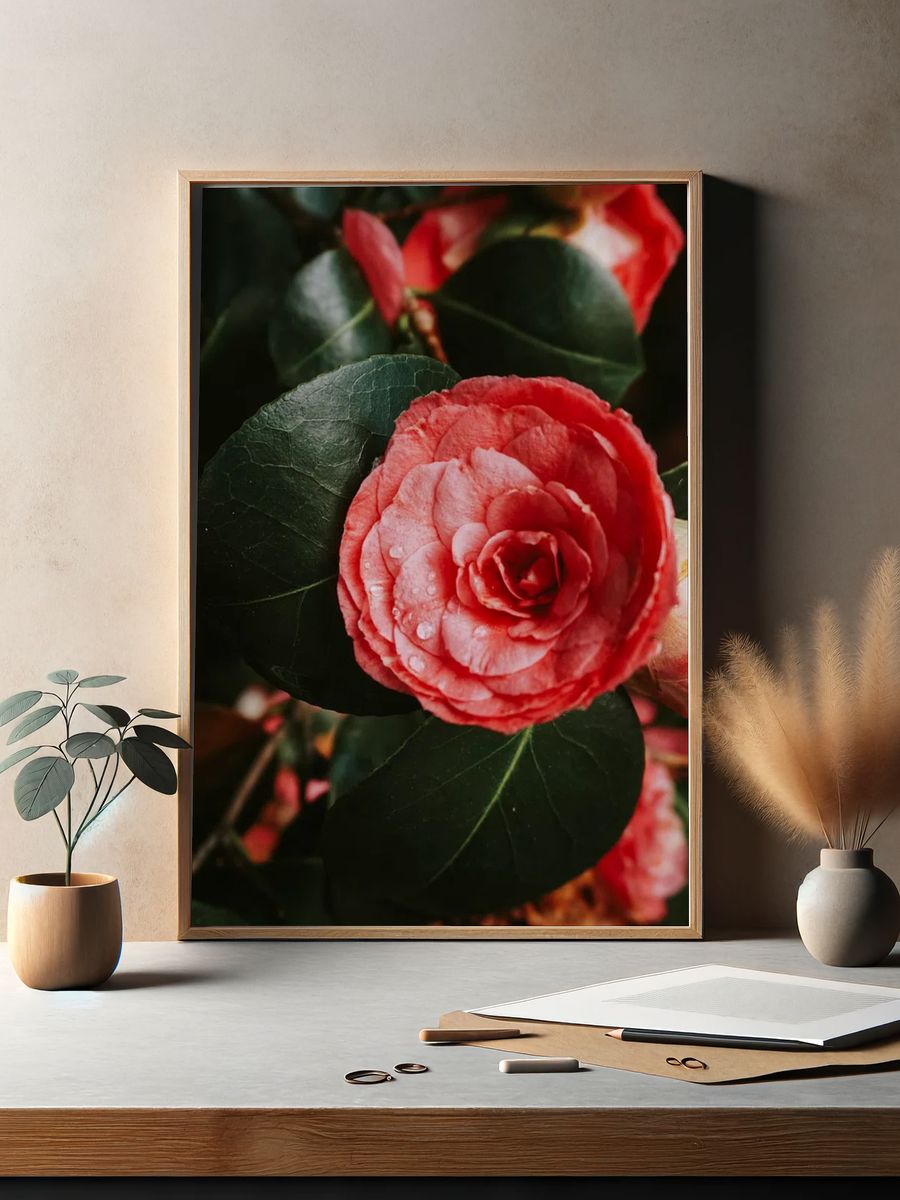 Pink Camellia Flower — Botanical Print. — room view 2