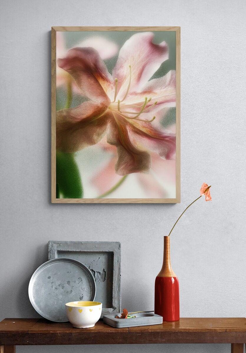 Delicate Pink Flower — Botanical Print. — room view 3