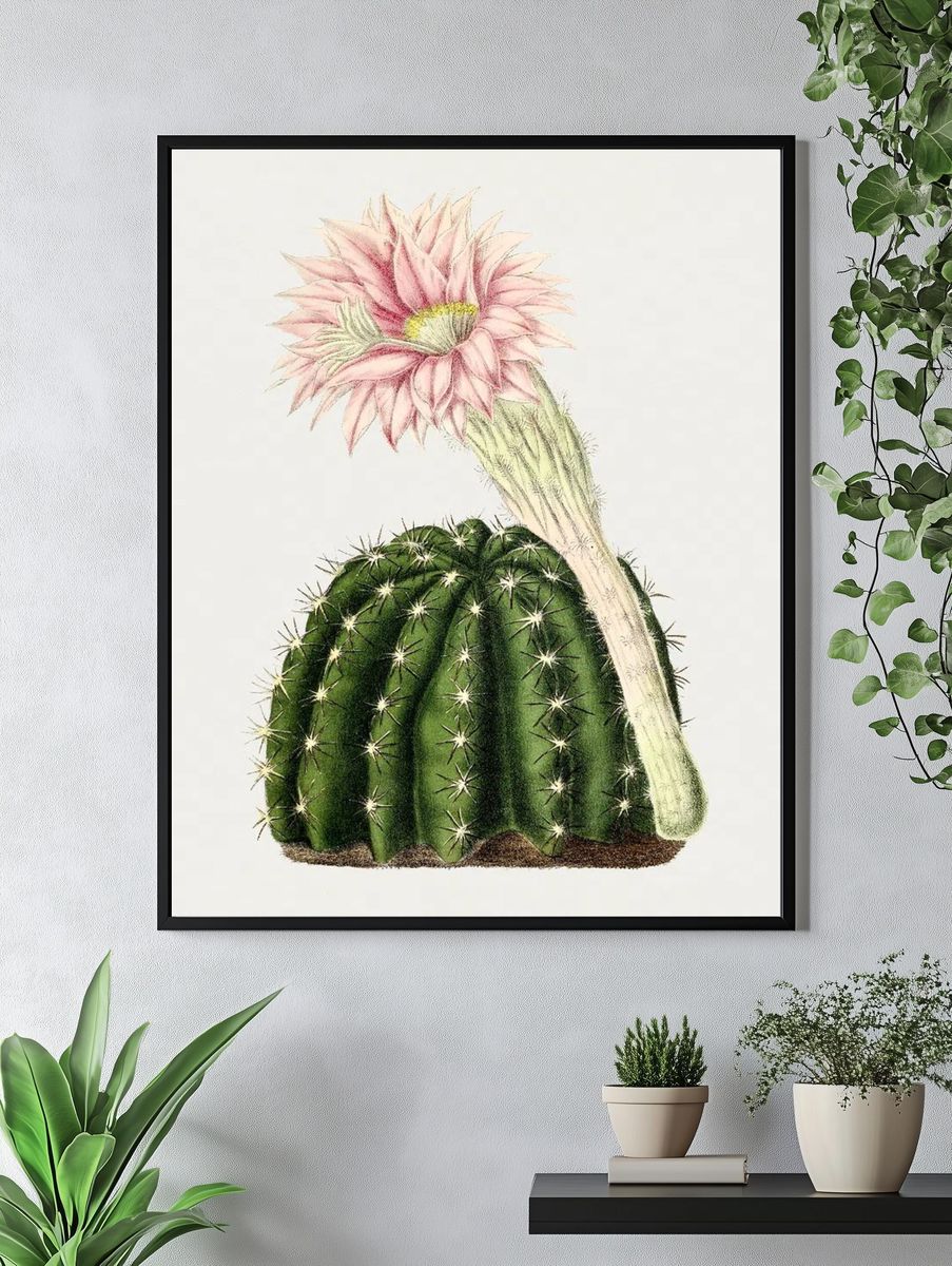 Cactus Flower Botanical Print. — room view 4
