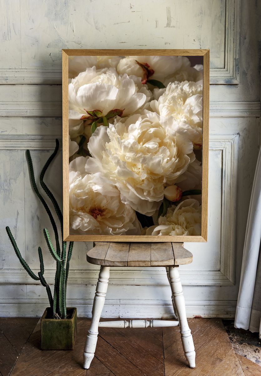 White Peonies — Botanical Print. — room view 1