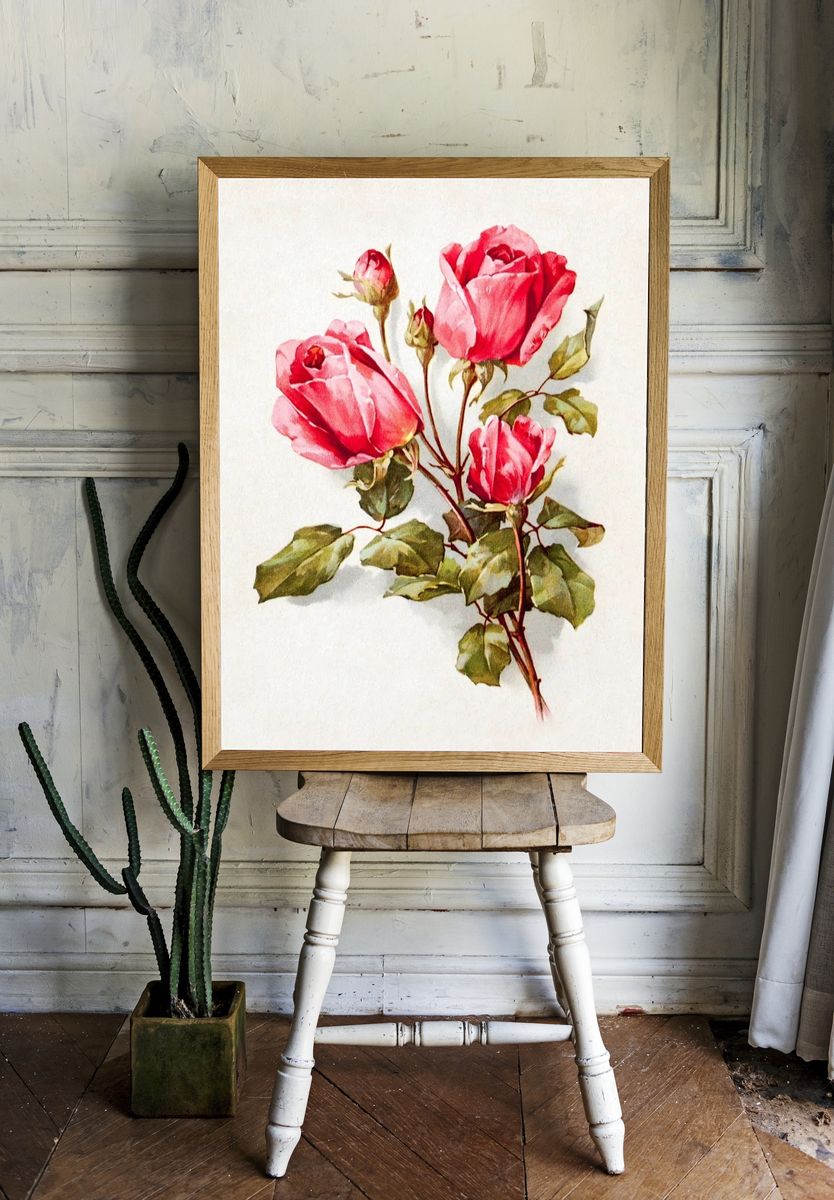 Pink Roses — Vintage Print. — room view 1