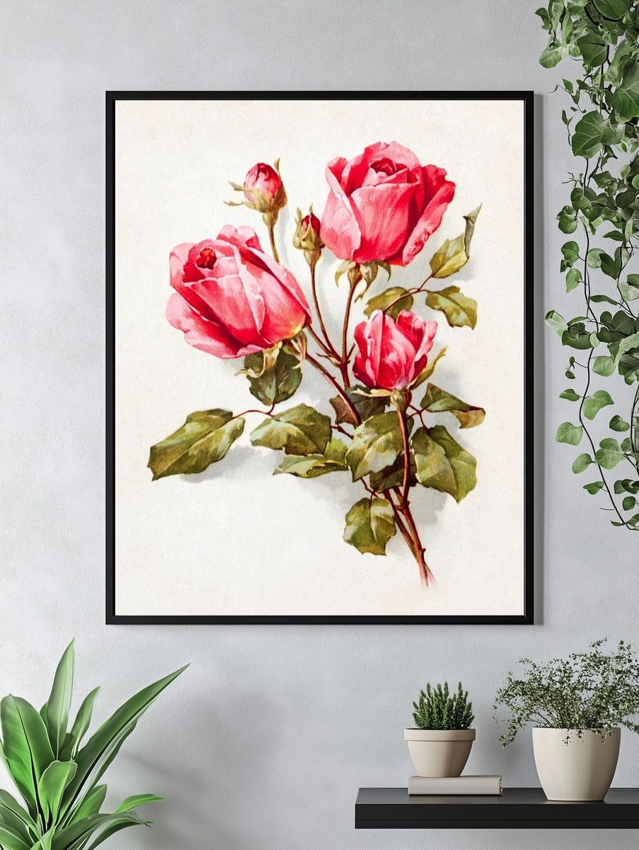Pink Roses — Vintage Print. — room view 4