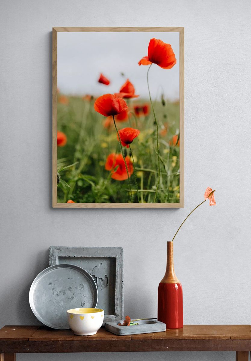 Vibrant Red Poppies — Botanical Print. — room view 3