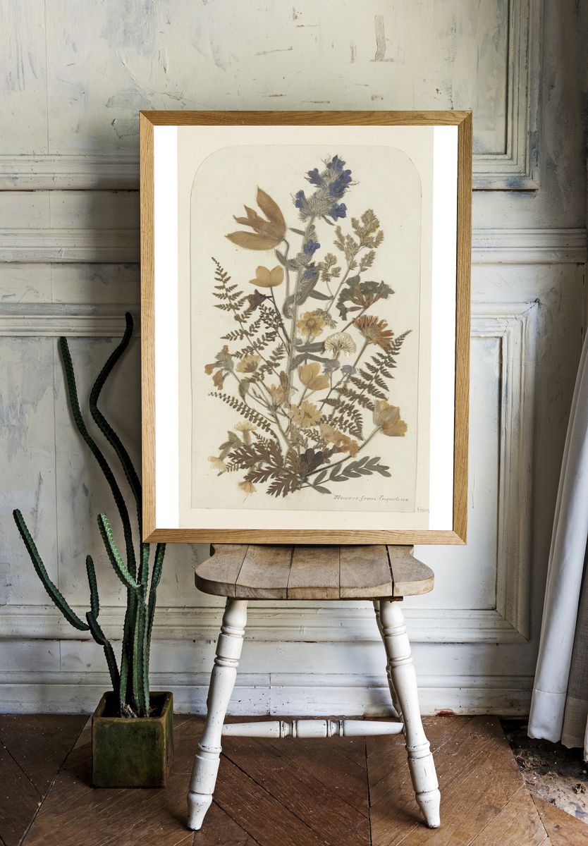 Dried Flowers from Engadine — Botanical Print. — room view 1