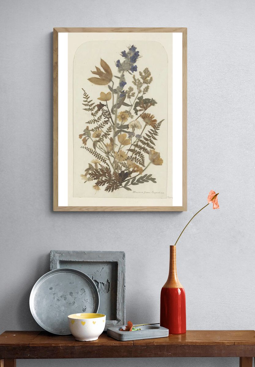 Dried Flowers from Engadine — Botanical Print. — room view 3