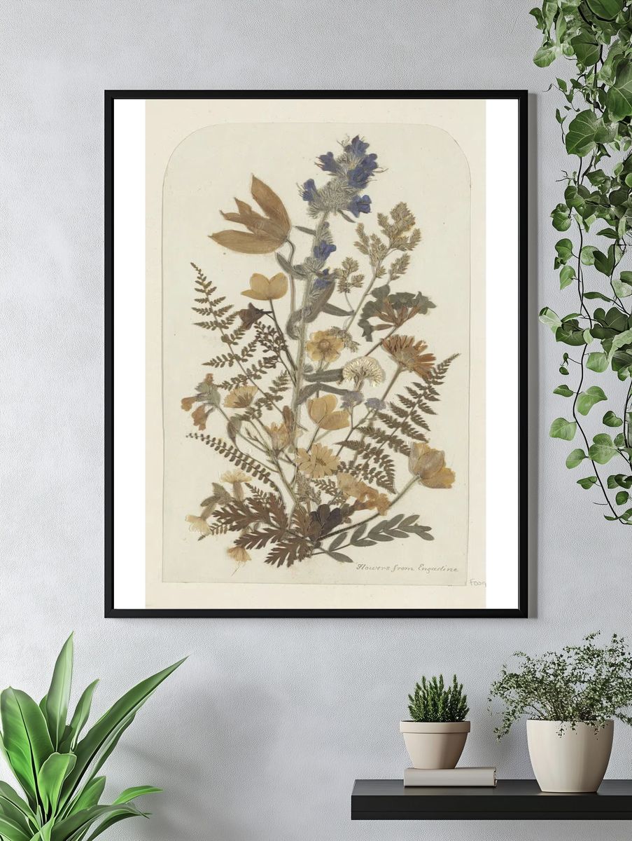 Dried Flowers from Engadine — Botanical Print. — room view 4