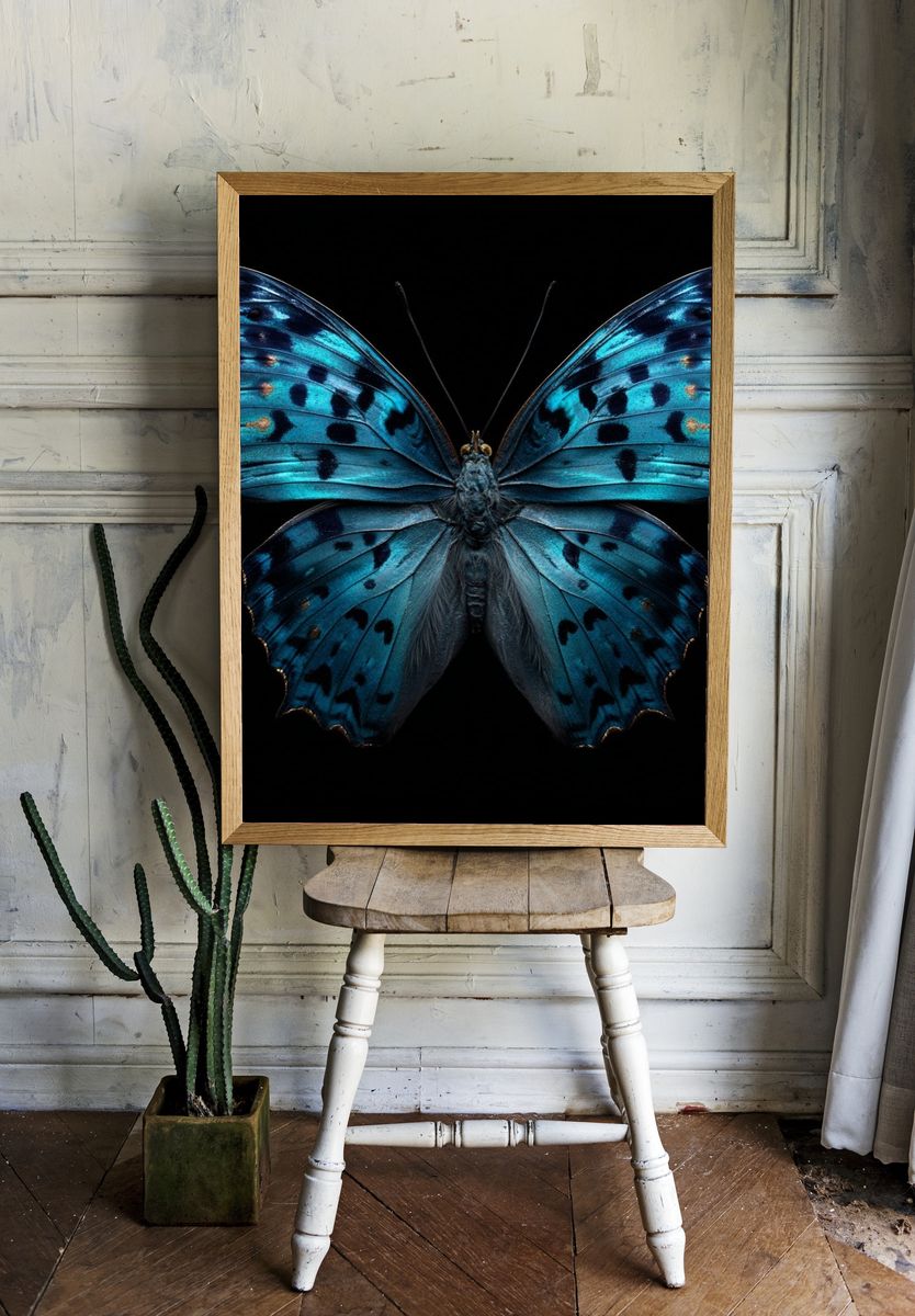Blue Butterfly — Nature Print room preview