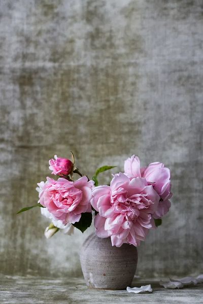 Pink Roses in Vase — Botanical Print. poster