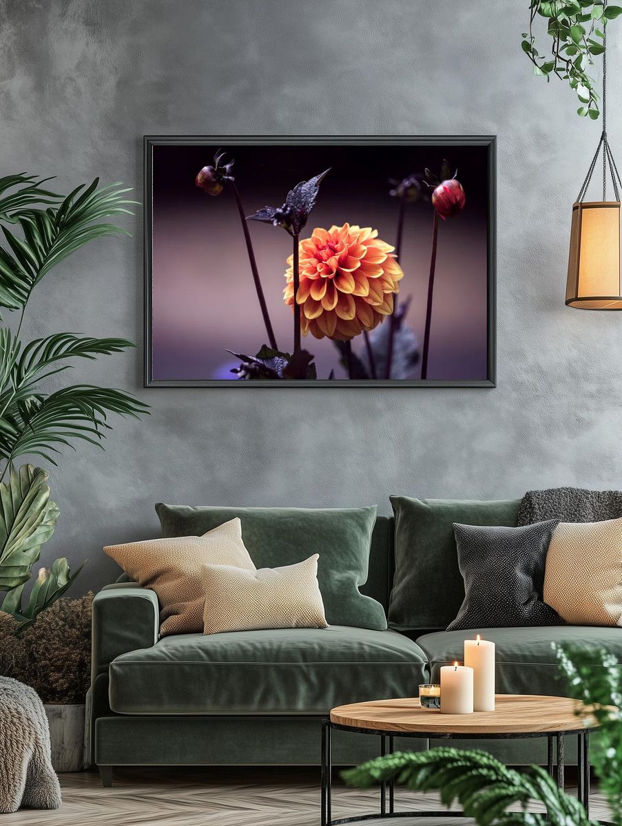 Vibrant Dahlia Flower Poster. — room view 4
