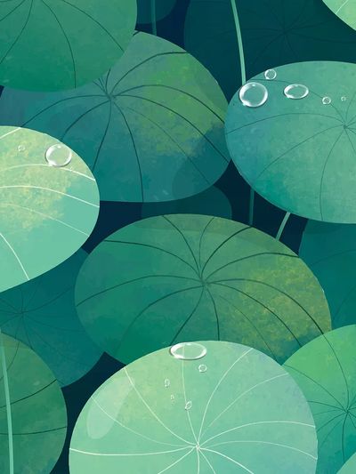 Lush Green Lily Pads — Botanical Print. poster