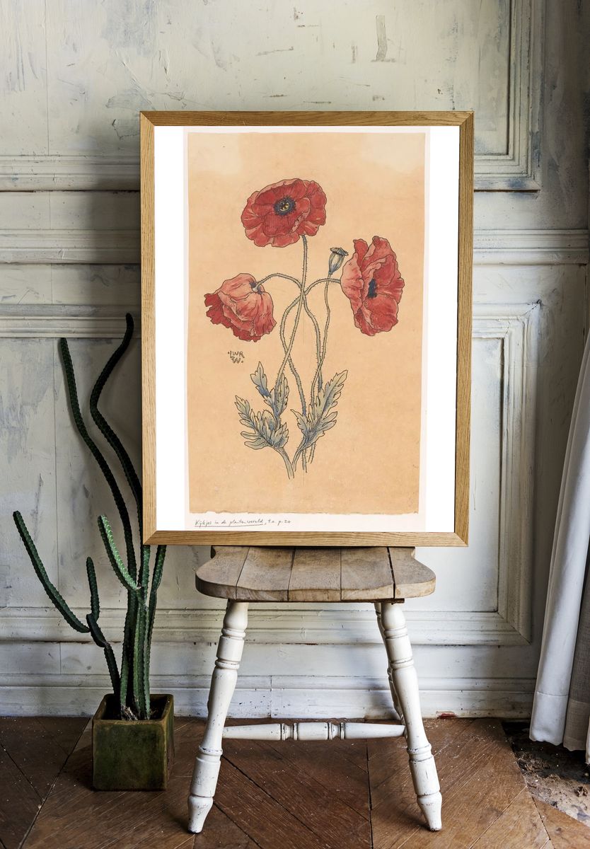 Red Poppy Botanical Illustration Poster. — room view 1