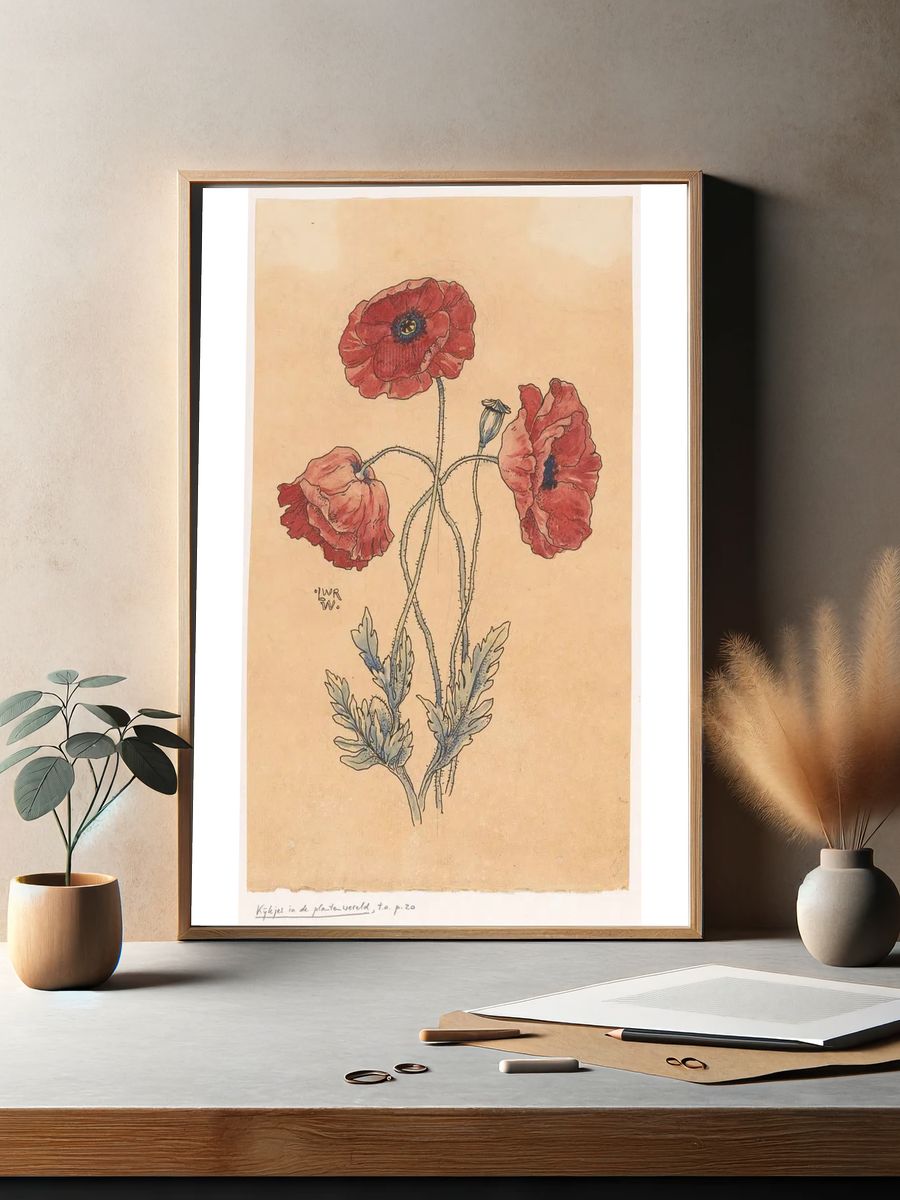 Red Poppy Botanical Illustration Poster. — room view 2