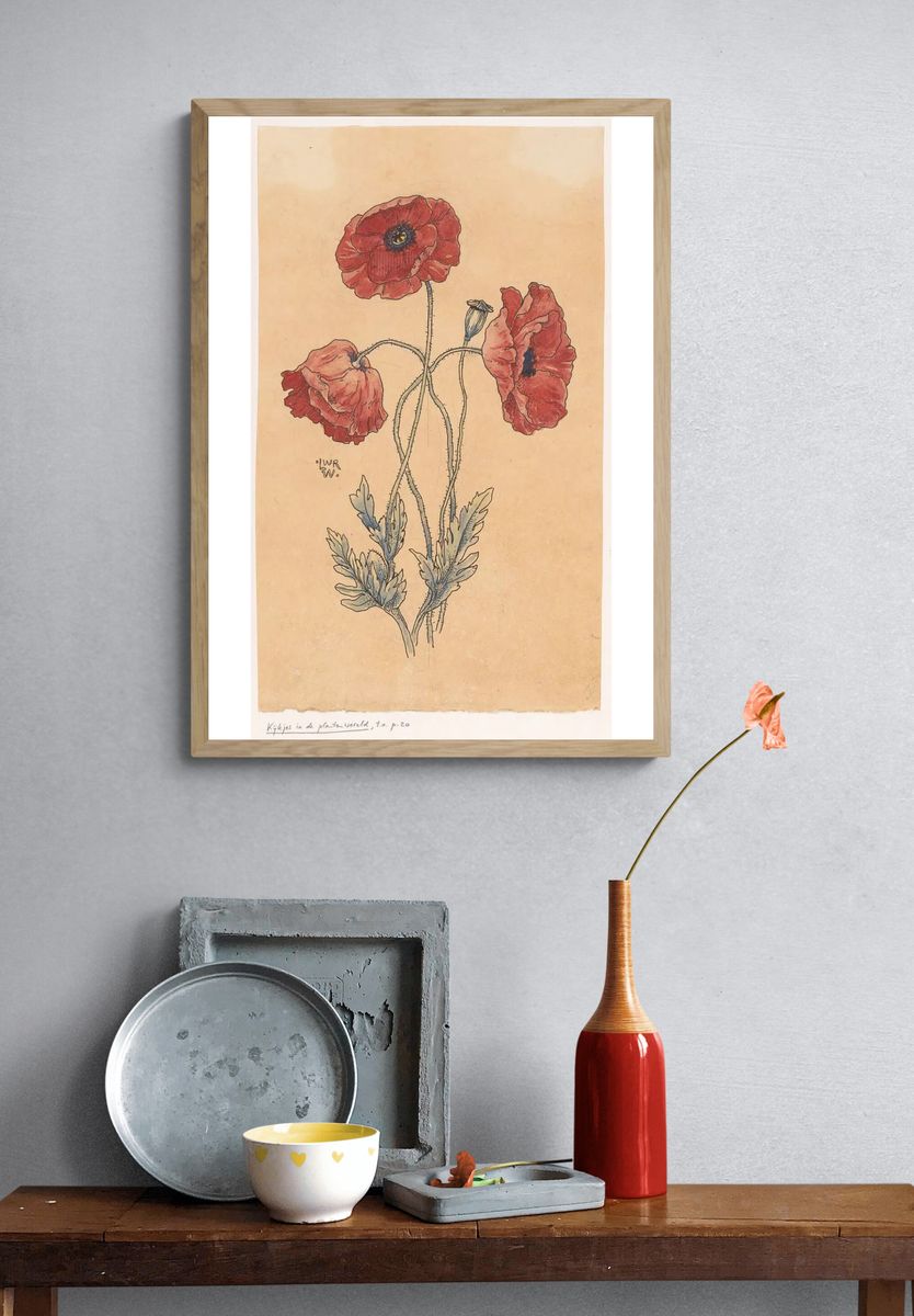Red Poppy Botanical Illustration Poster. — room view 3