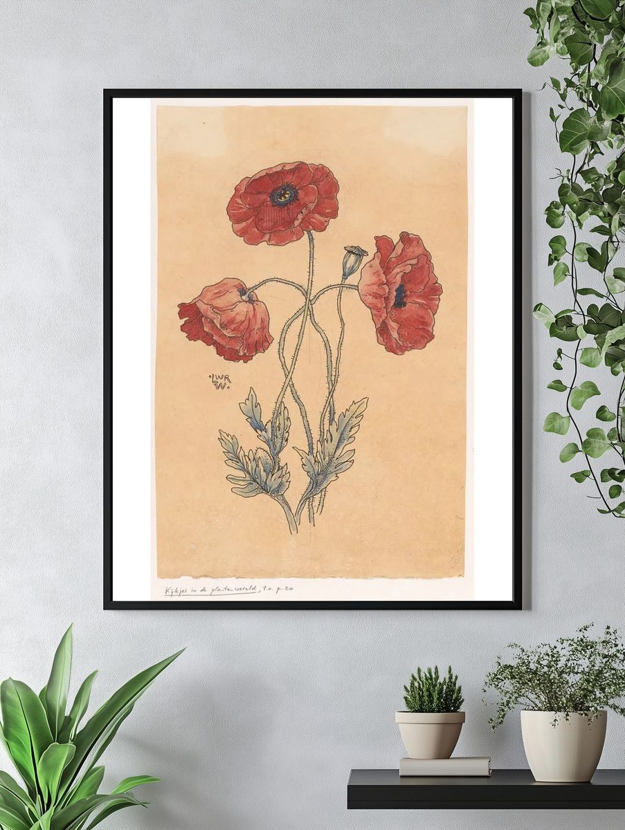 Red Poppy Botanical Illustration Poster. — room view 4