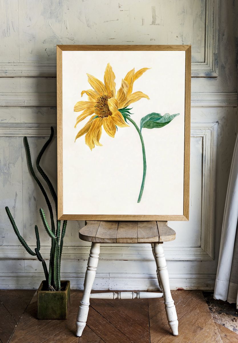 Sunflower Botanical Print. — room view 1