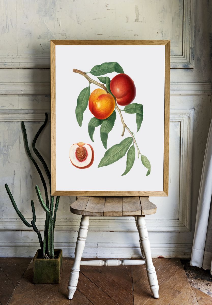 Peach Branch — Botanical Print. — room view 1