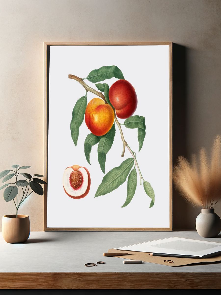 Peach Branch — Botanical Print. — room view 2