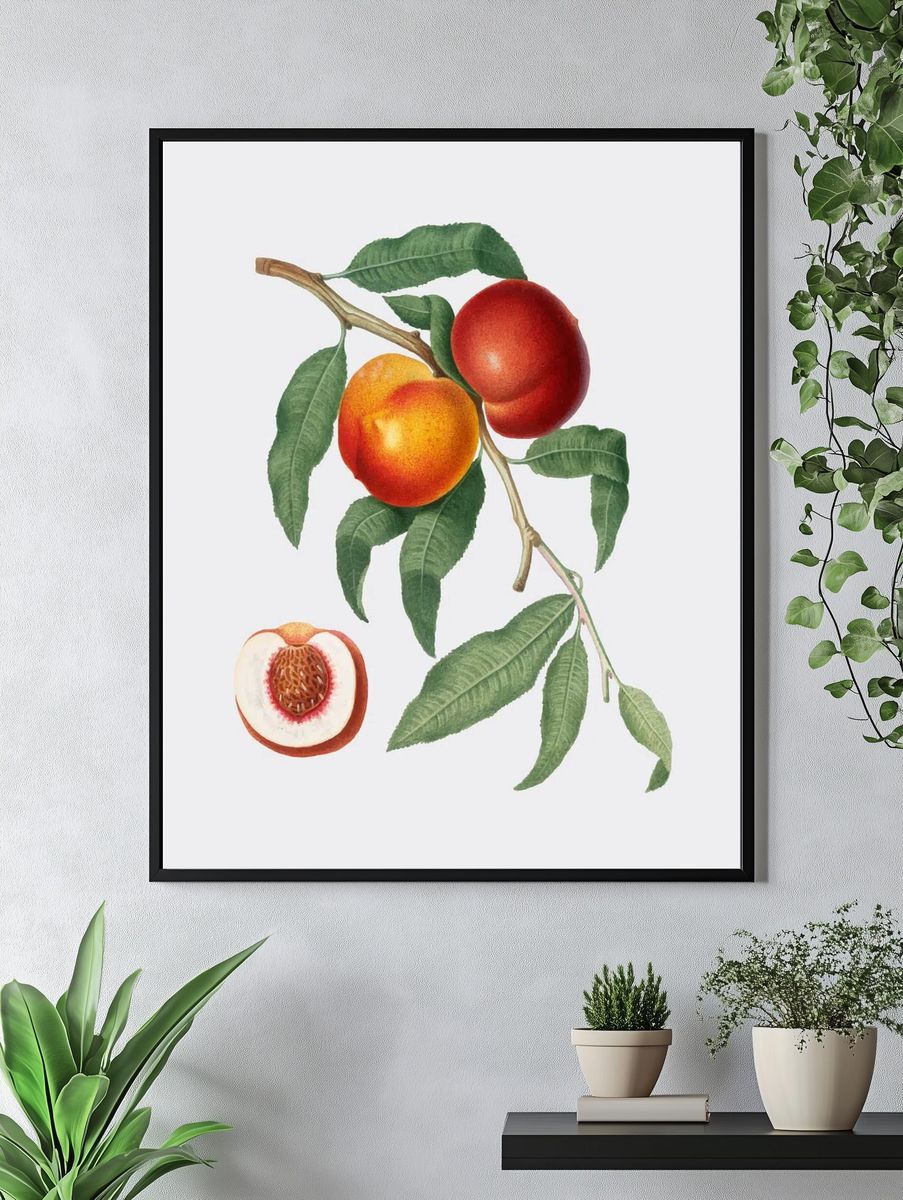 Peach Branch — Botanical Print. — room view 4