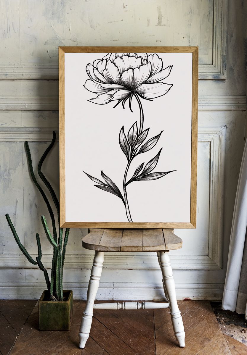 Peony Flower Illustration Poster. — room view 1