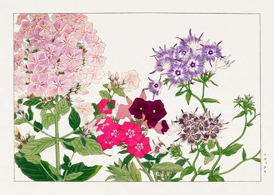Floral Botanical Print. poster print