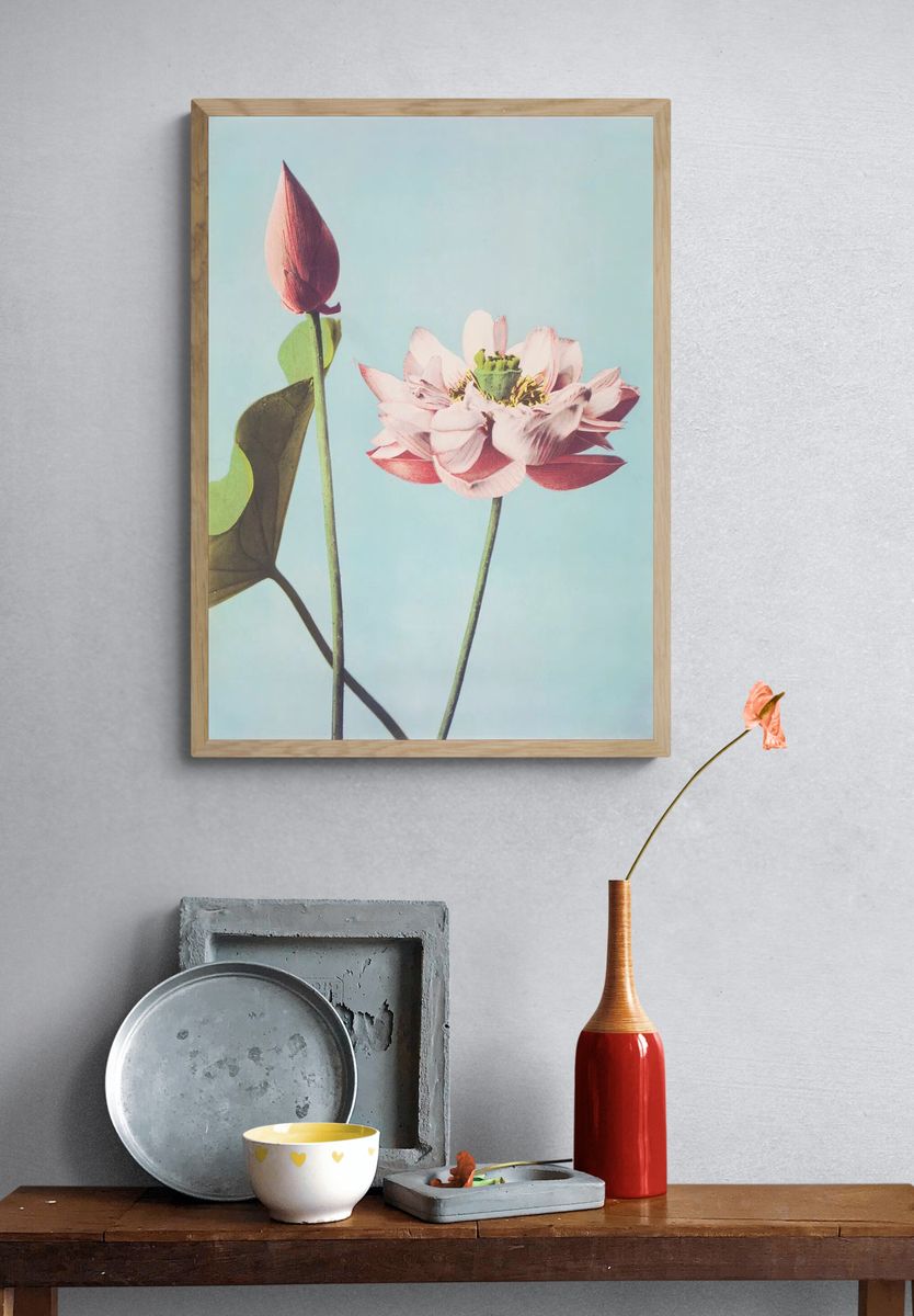 Lotus Flower — Botanical Print. — room view 3