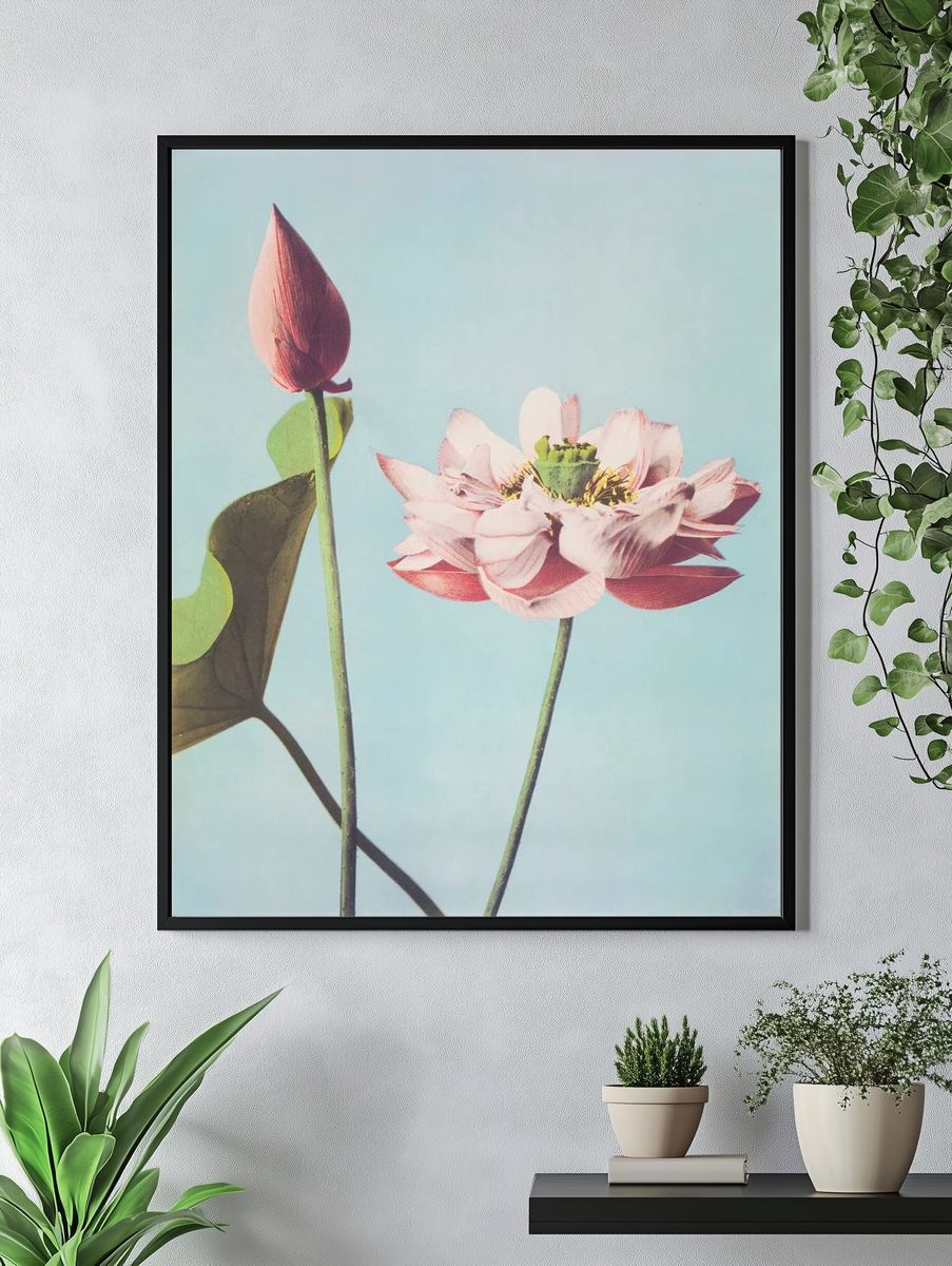 Lotus Flower — Botanical Print. — room view 4