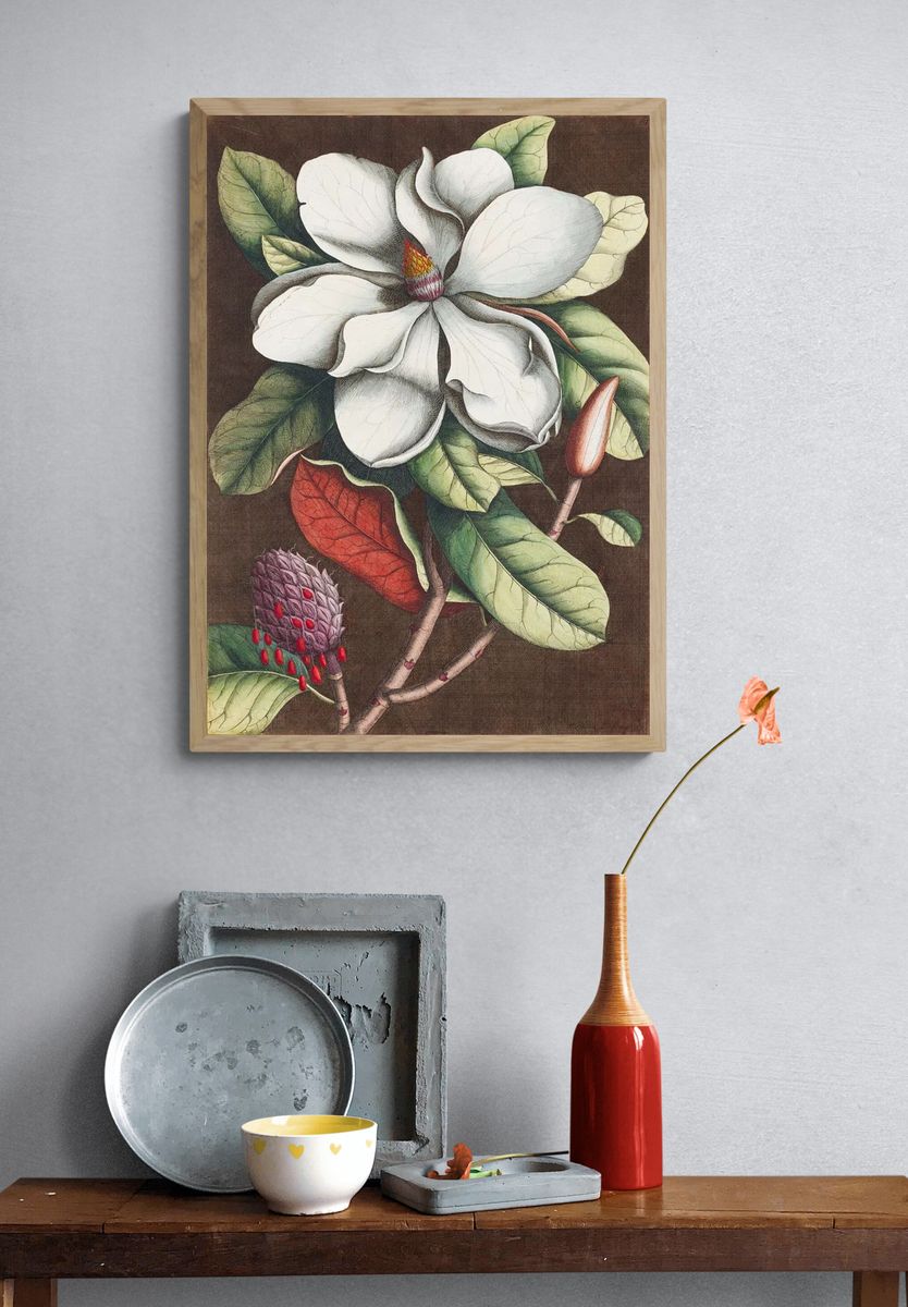 Magnolia Blossom — Botanical Print. — room view 3